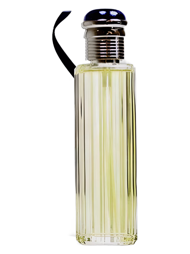 Society Parfums Society for Man