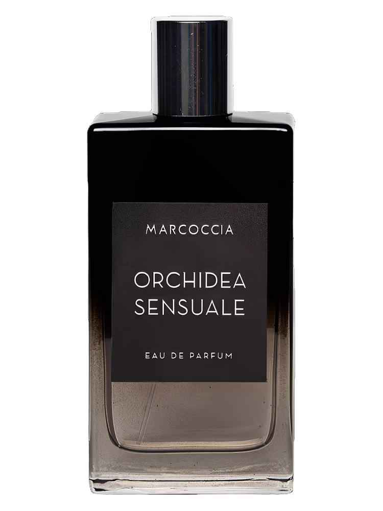 Marcoccia Orchidea Sensuale