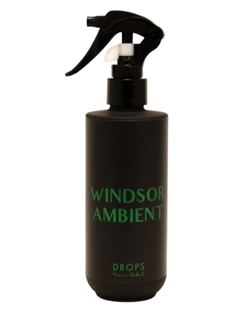 Toni Cabal WINDSOR AMBIENT