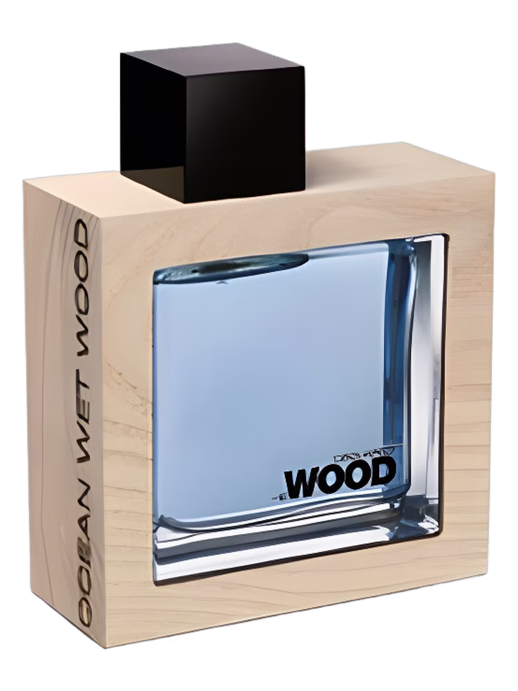 DSQUARED² He Wood Ocean Wet Wood