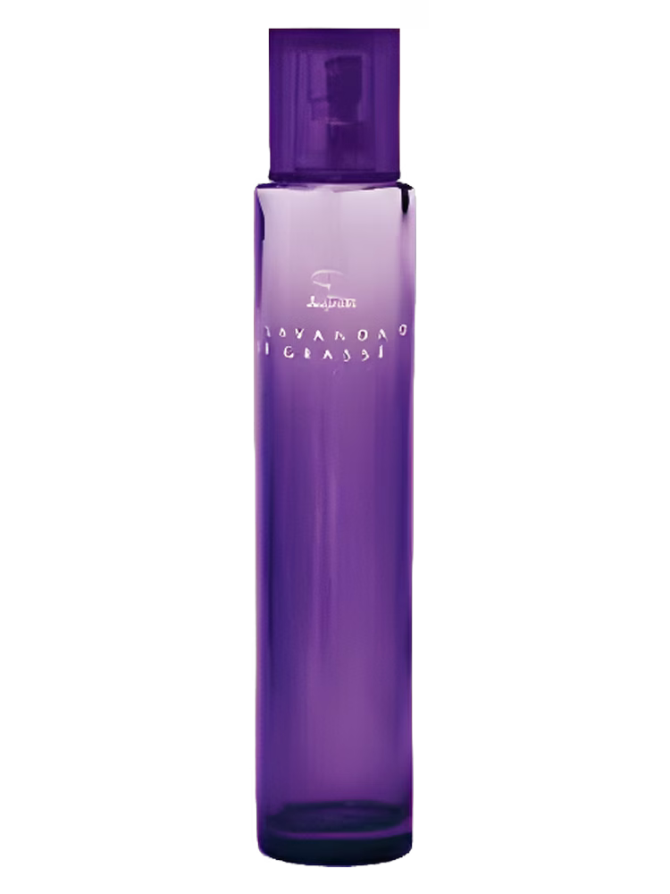Jequiti Lavanda de Grasse
