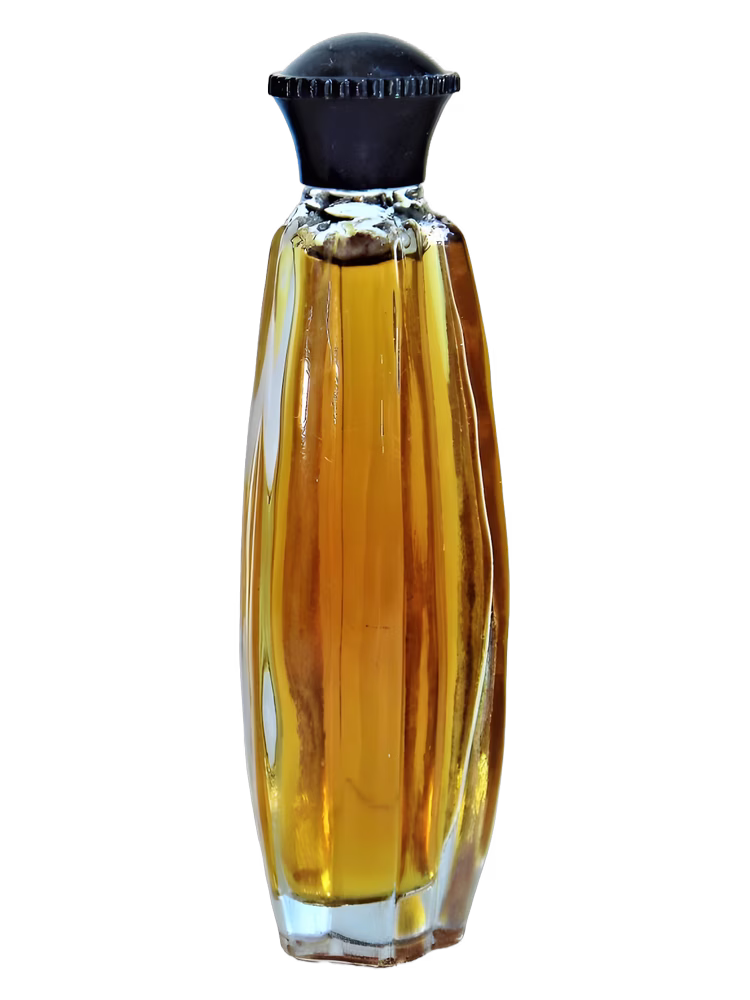 Dzintars Ilgota