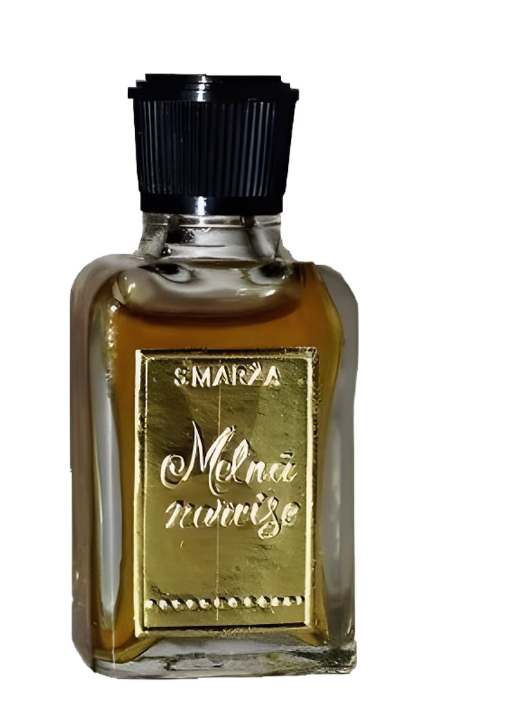 Dzintars Melnā Narcise (Чёрный Нарцисс)