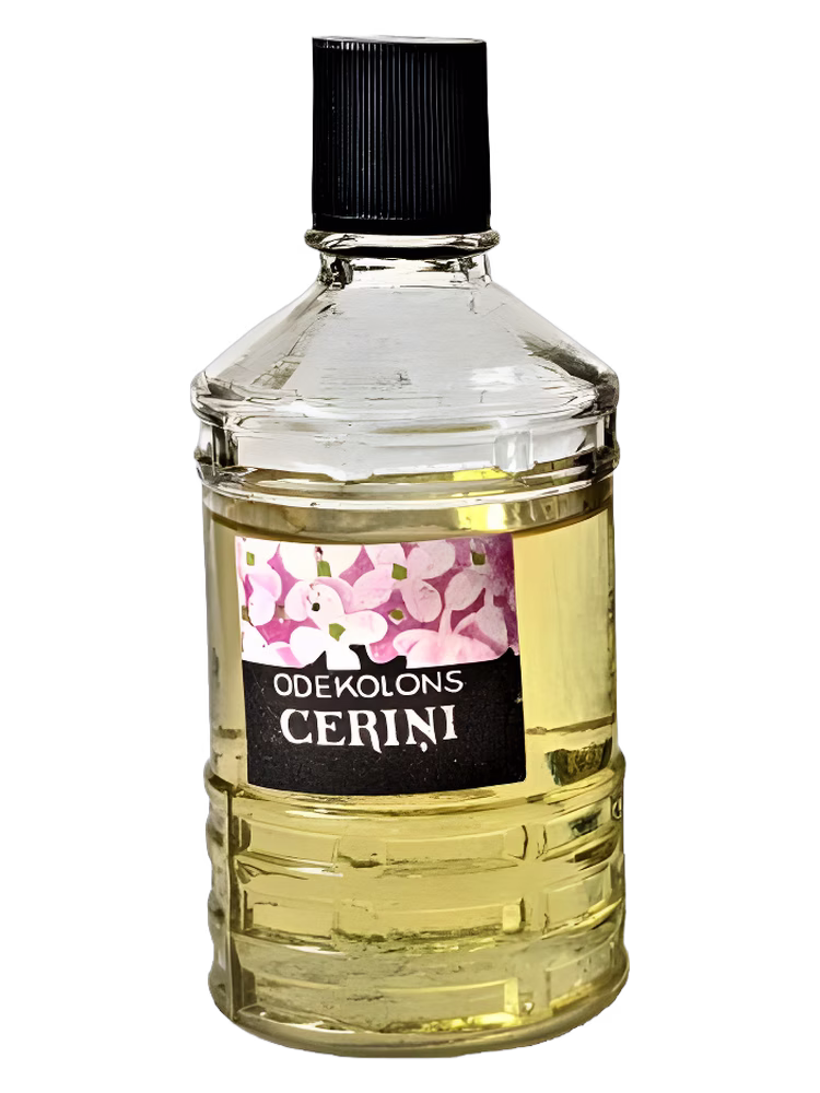 Dzintars Cēriņi (Сирень)