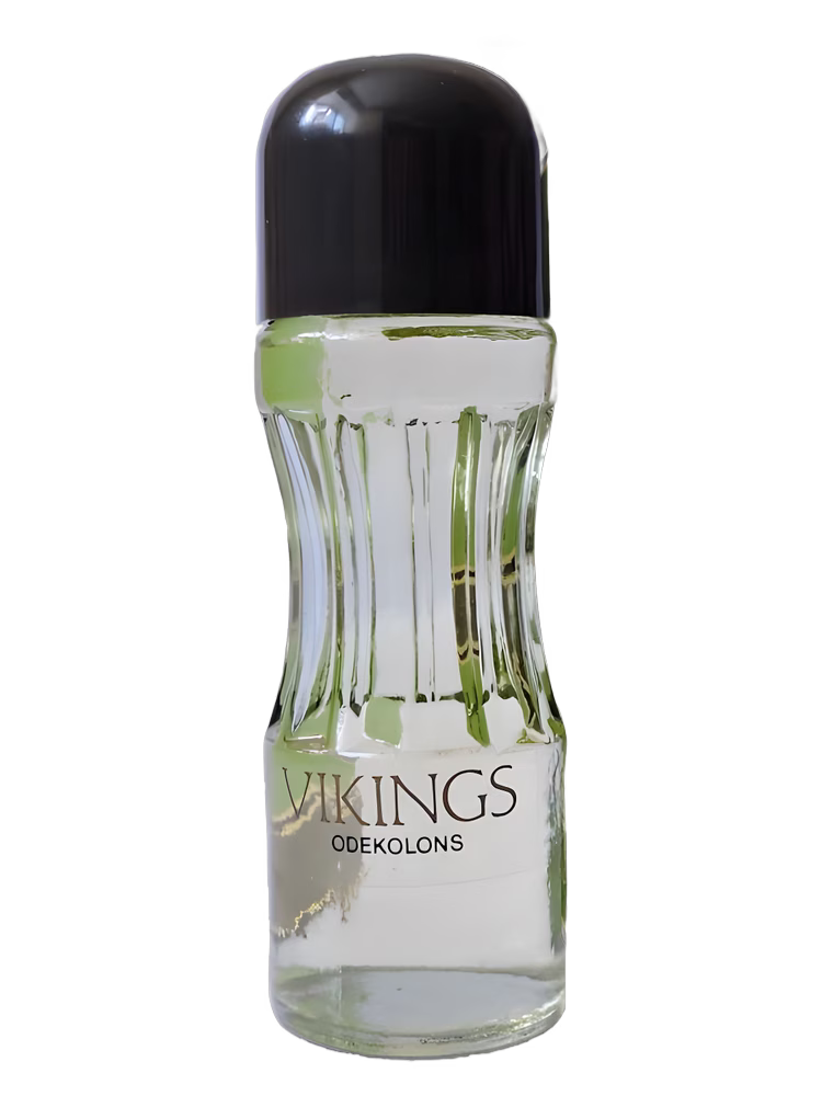 Dzintars Vikings (Викинг)