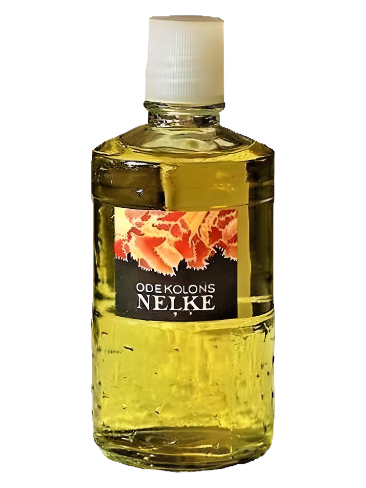 Dzintars Neļķe (Гвоздика)