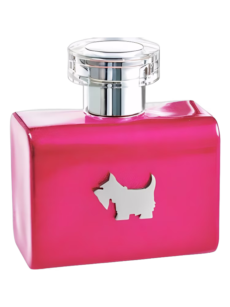 Ferrioni Terrier Pink