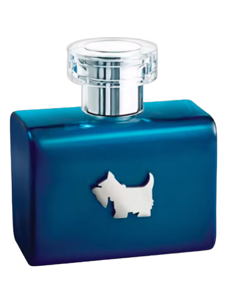 Ferrioni Terrier Blue