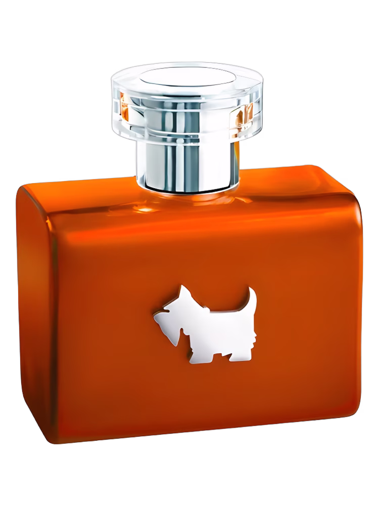Ferrioni Terrier Orange