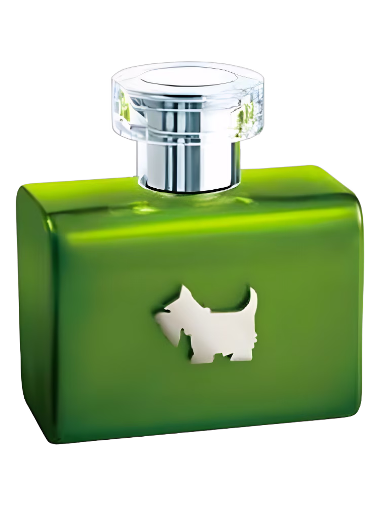 Ferrioni Terrier Be Green
