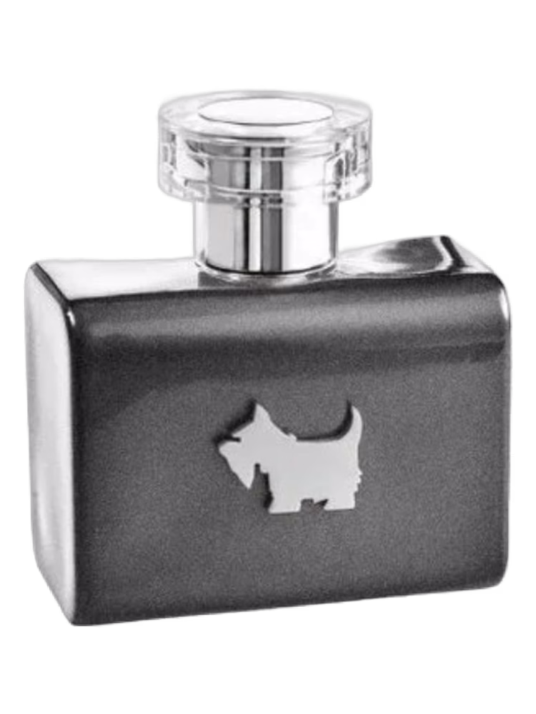 Ferrioni Terrier Grey