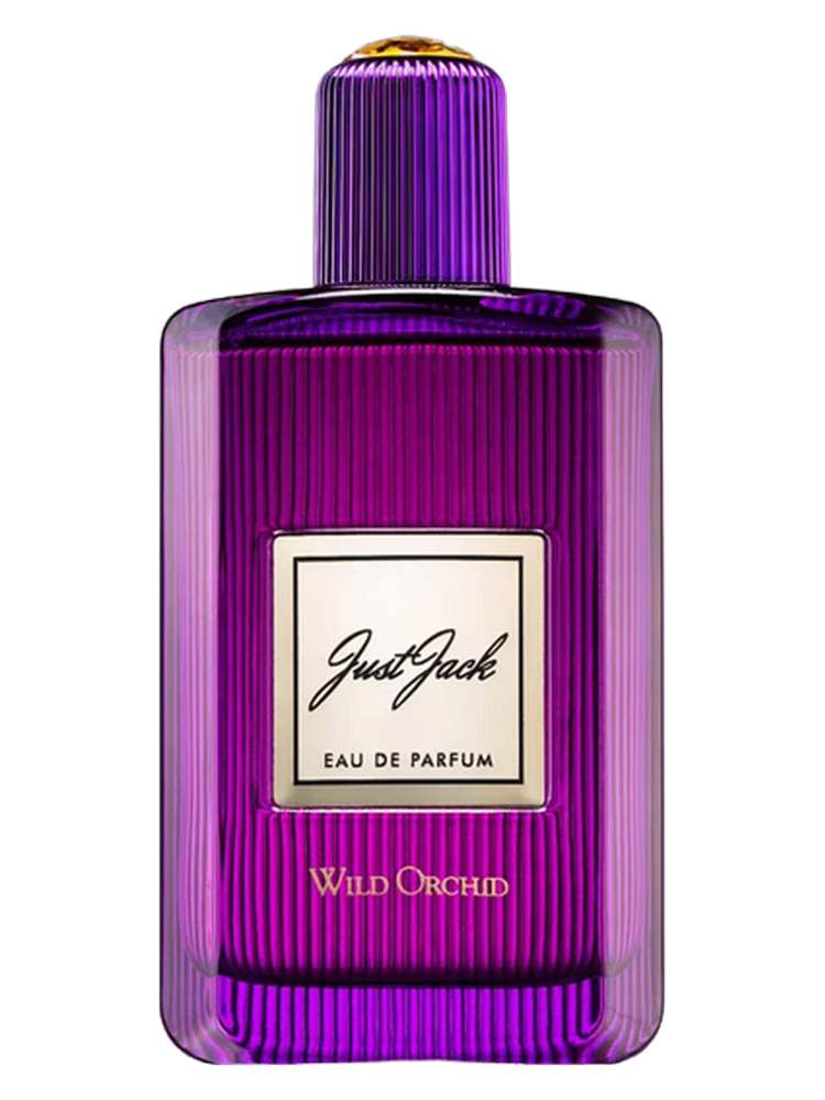 Just Jack Wild Orchid