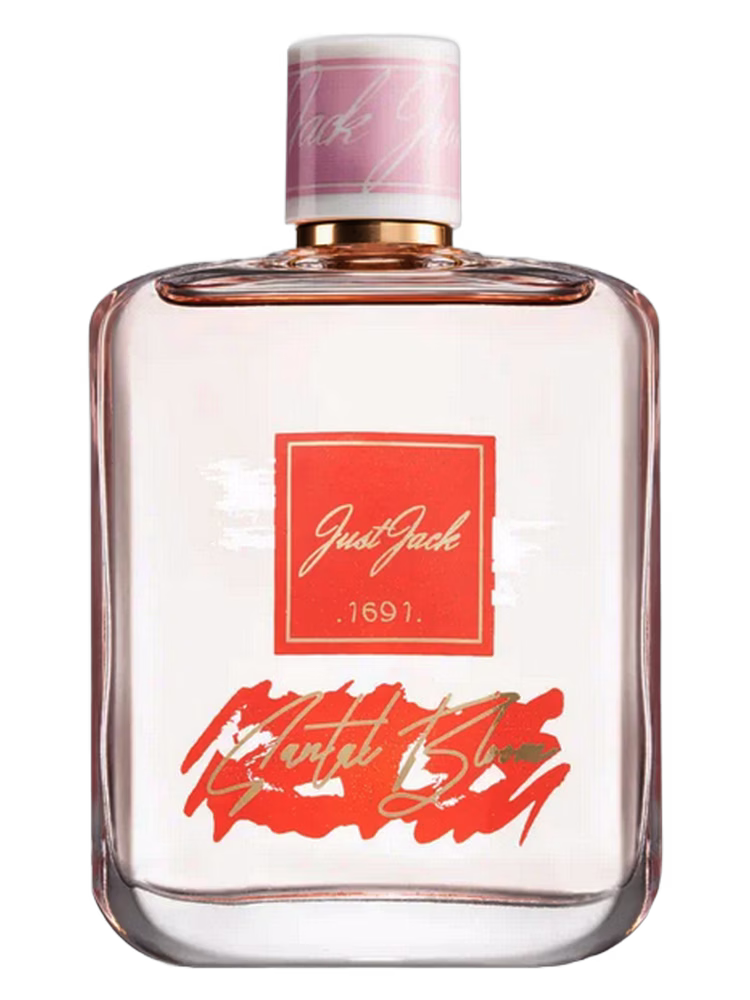 Just Jack Santal Bloom