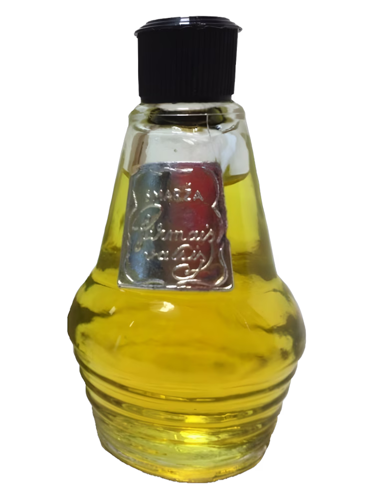 Dzintars Pirmais valsis (Первый вальс)