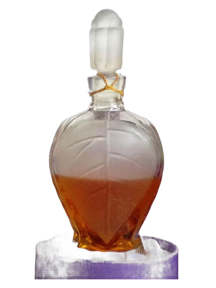 Dzintars Rīgas cēriņi (Рижская сирень)