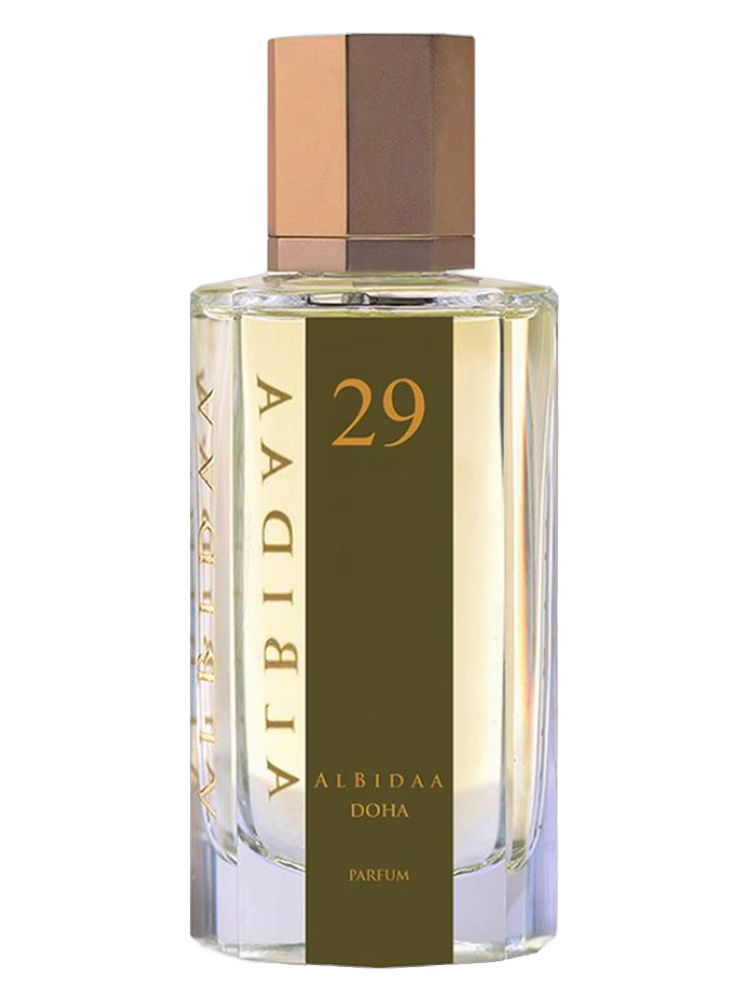 AlBidaa Nº29