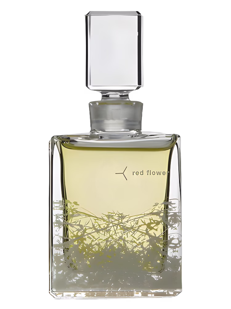 Red Flower Organic Perfume Ambrette