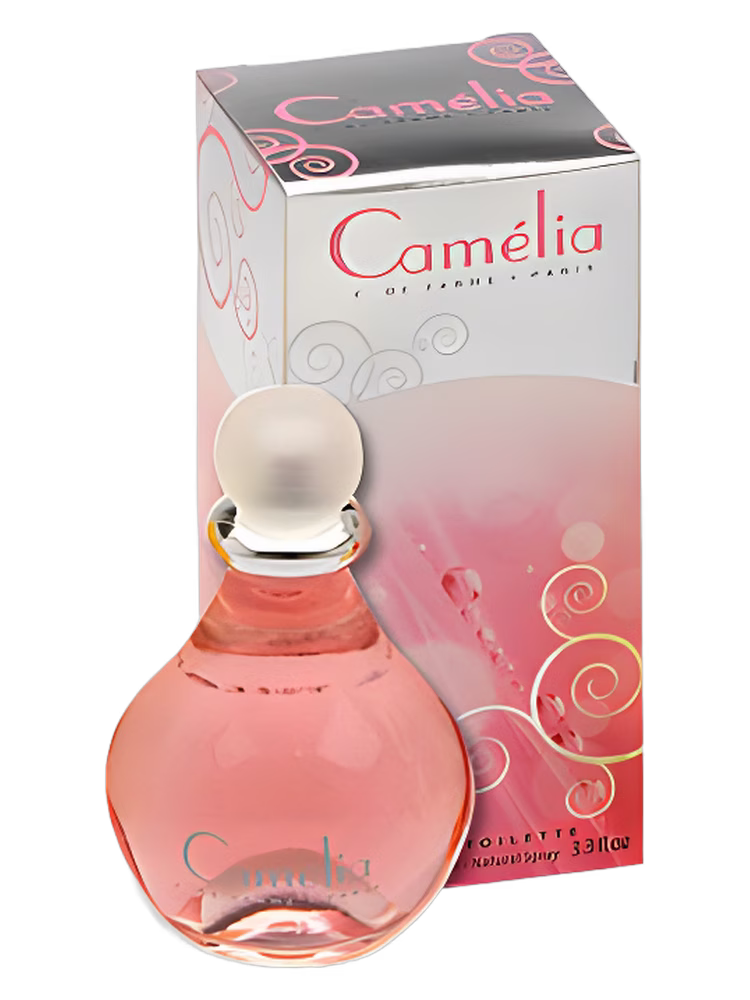 Corine de Farme Camelia