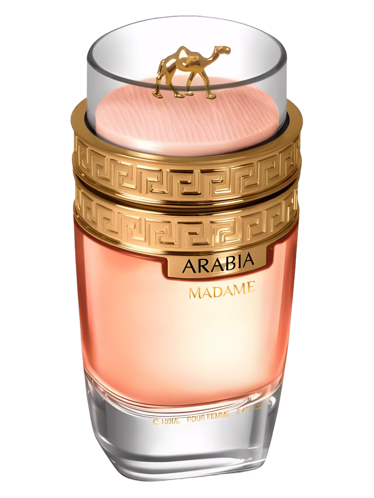 Le Chameau Arabia Madame