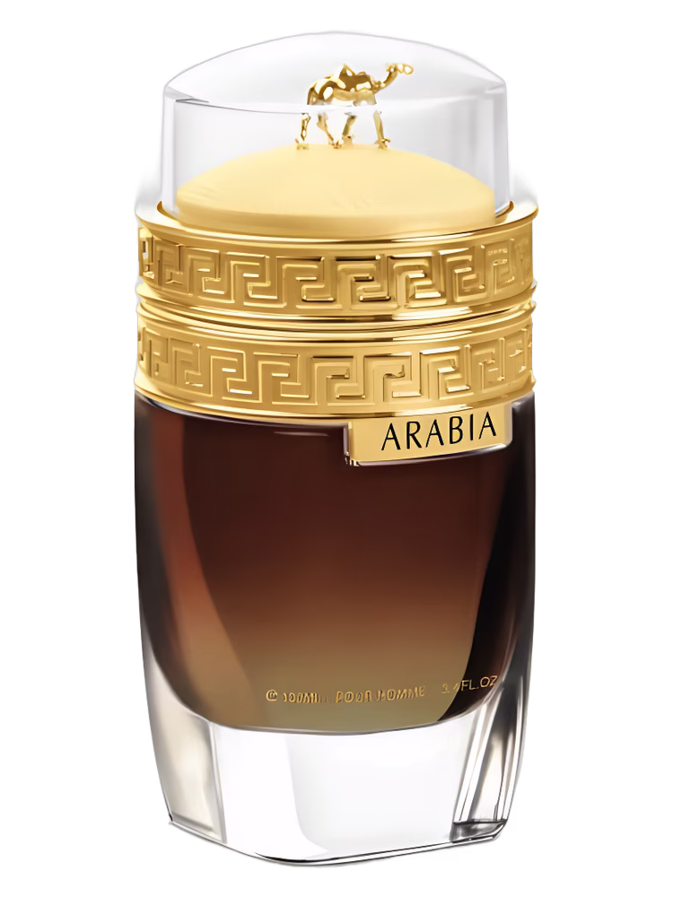 Le Chameau Arabia Pour Homme
