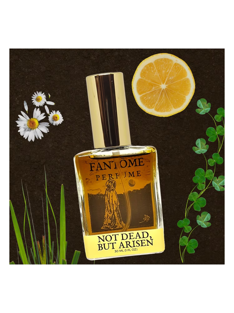 Fantôme Not Dead, but Arisen