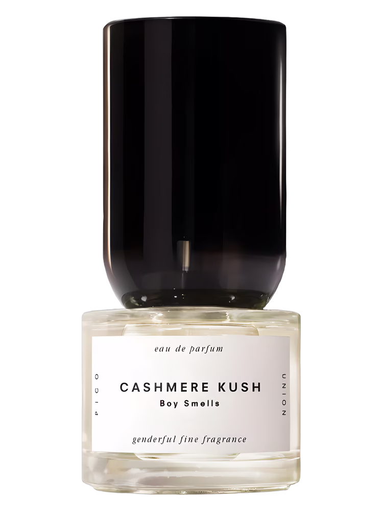 Boy Smells Cashmere Kush