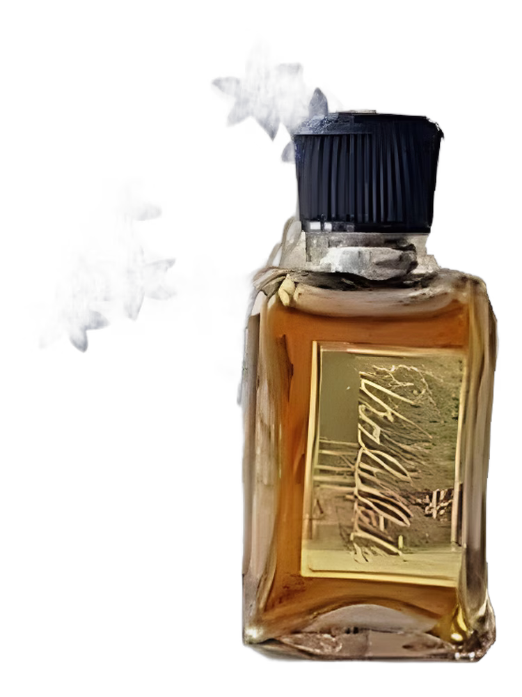 Dzintars Vizbulīte (Лесные фиалки)