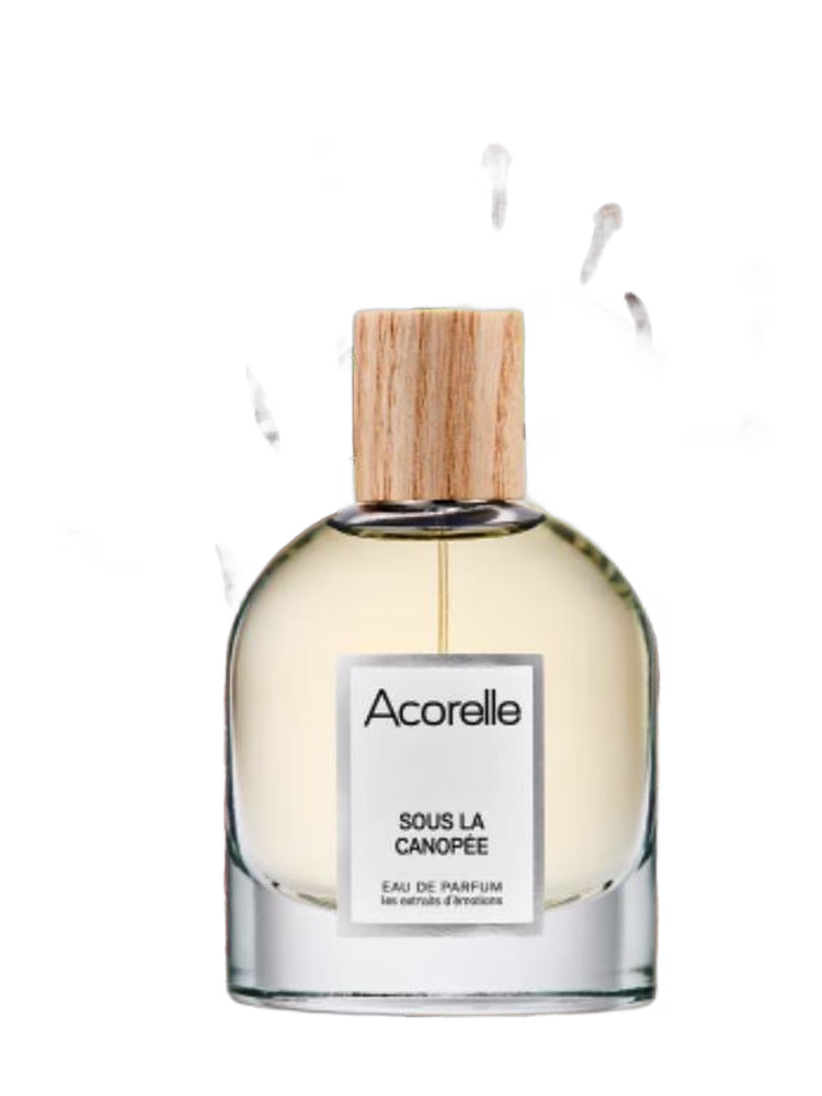 Acorelle Sous La Canopée