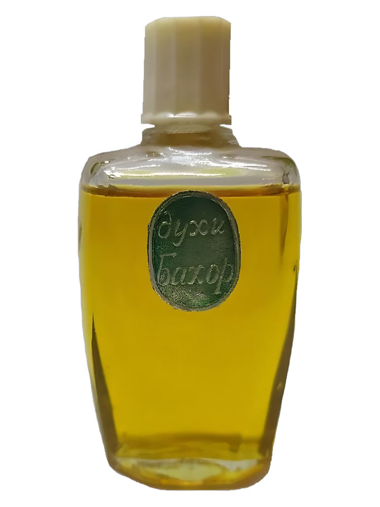 Tashkent Perfume factory LOLA Бахор