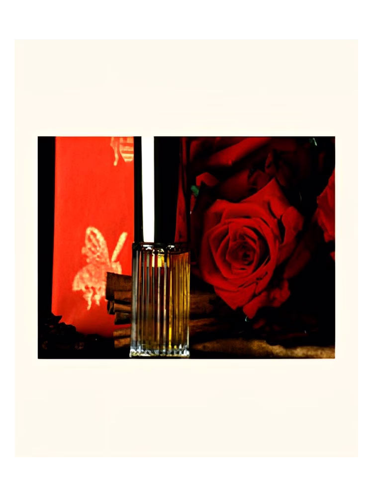 DSH Perfumes Poivre