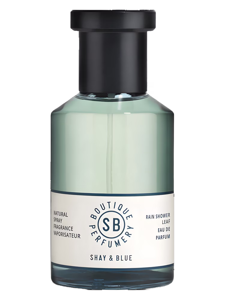 Shay &amp; Blue London Rain Shower Leaf