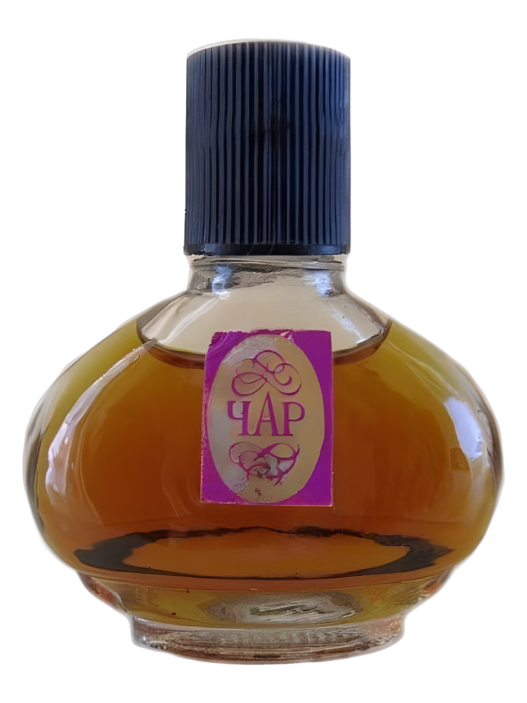 Alen Mak Чар (Char)