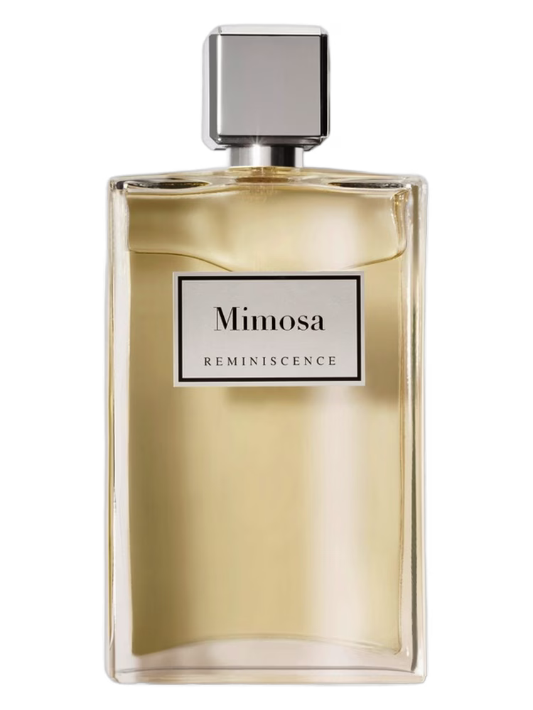 Reminiscence Mimosa