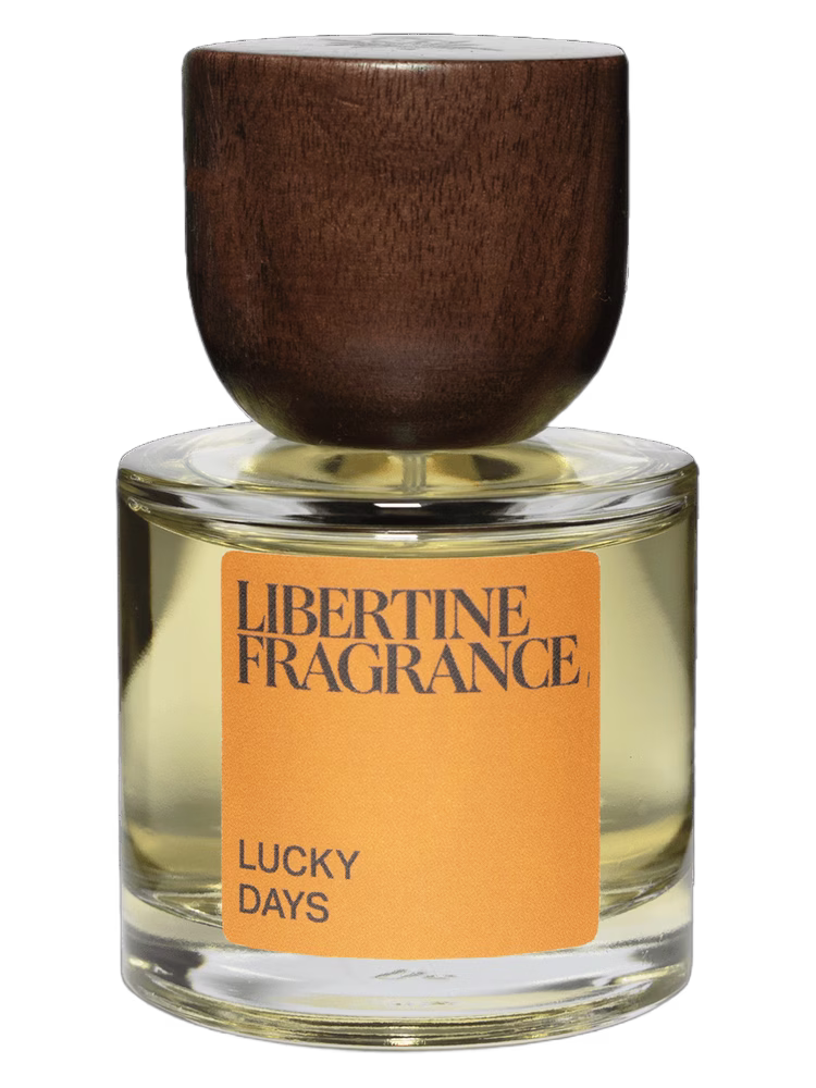 Paraphrase Lucky Days