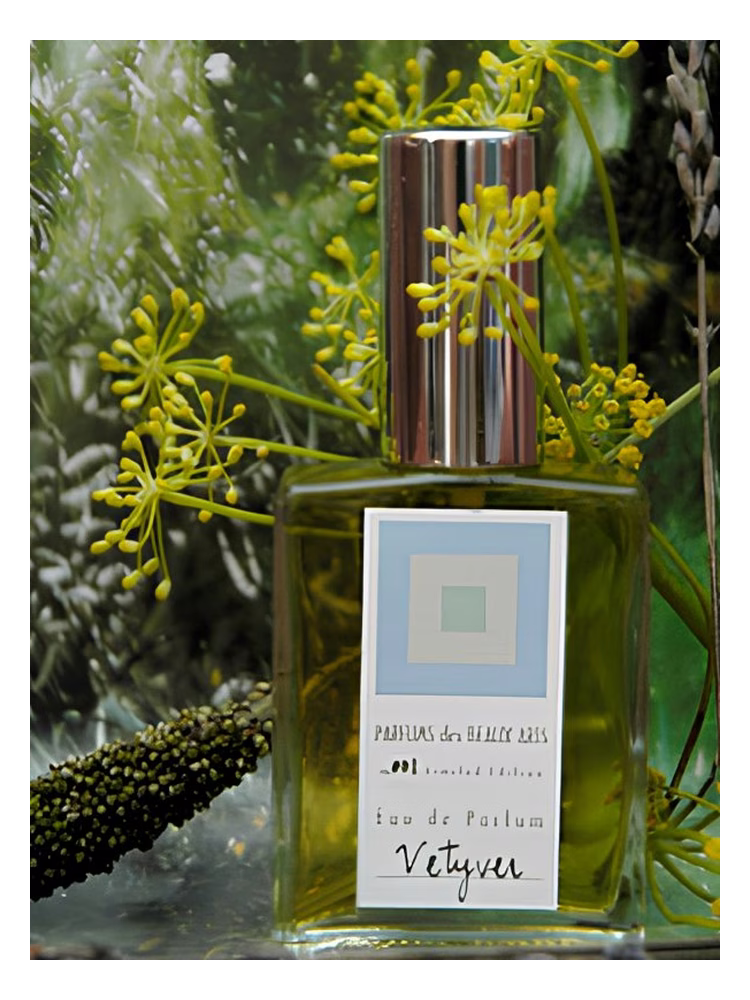 DSH Perfumes Vetyver