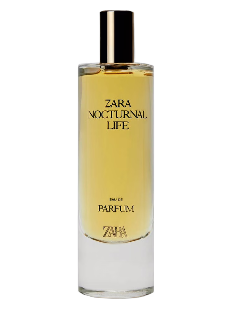 Zara Nocturnal Life