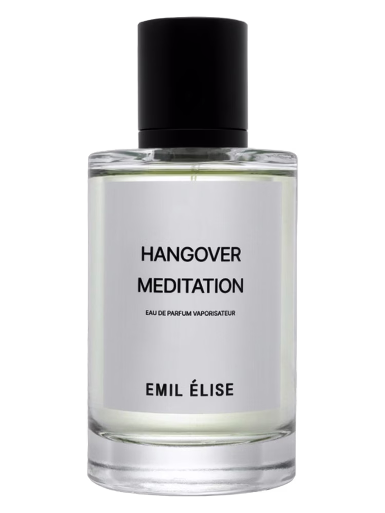 Emil Elise Hangover Meditation