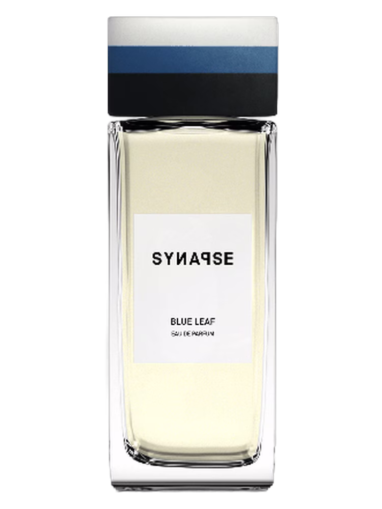 Synapse Blue Leaf