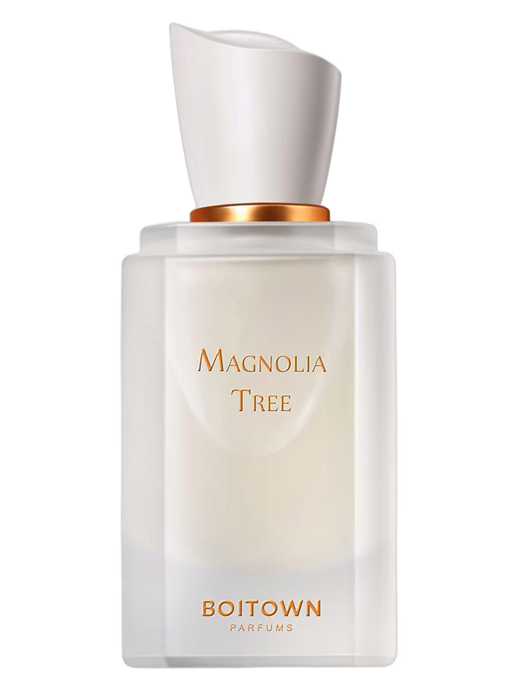 Boitown 冰希黎 Magnolia Tree	一树玉兰