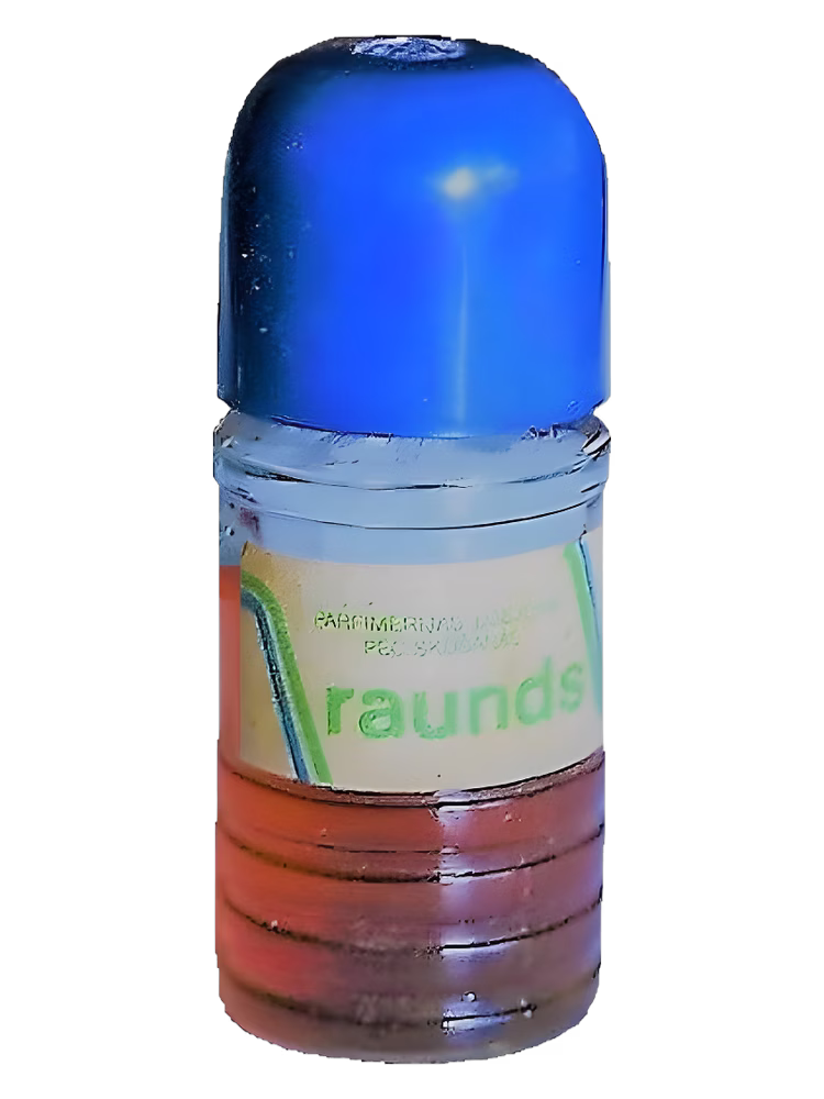 Dzintars Raunds