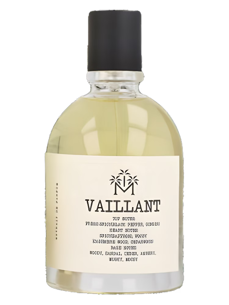 Moudon Vaillant
