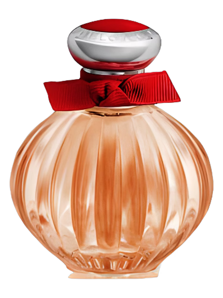 American Beauty Beloved Red Rose