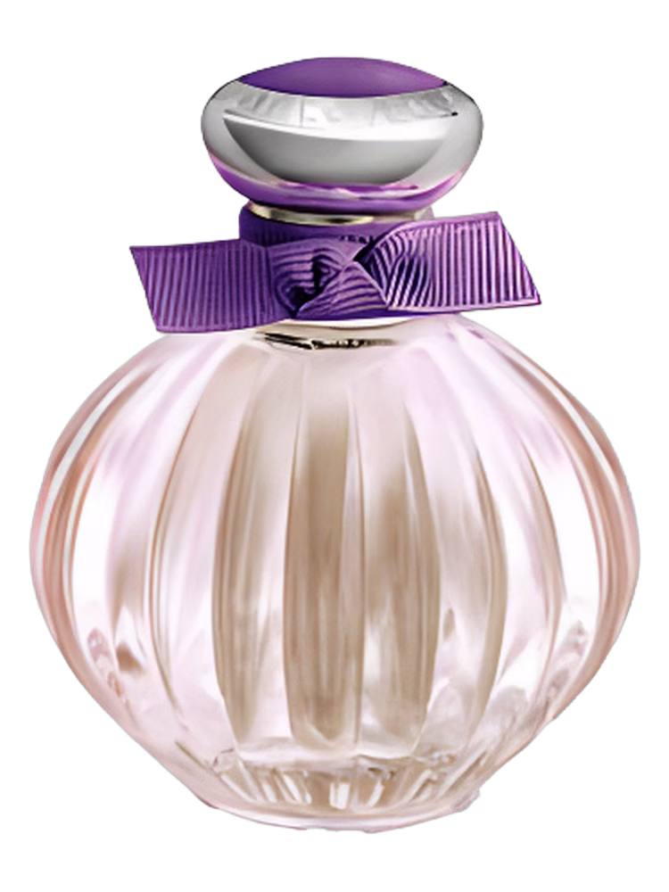 American Beauty Beloved Purple Blossom