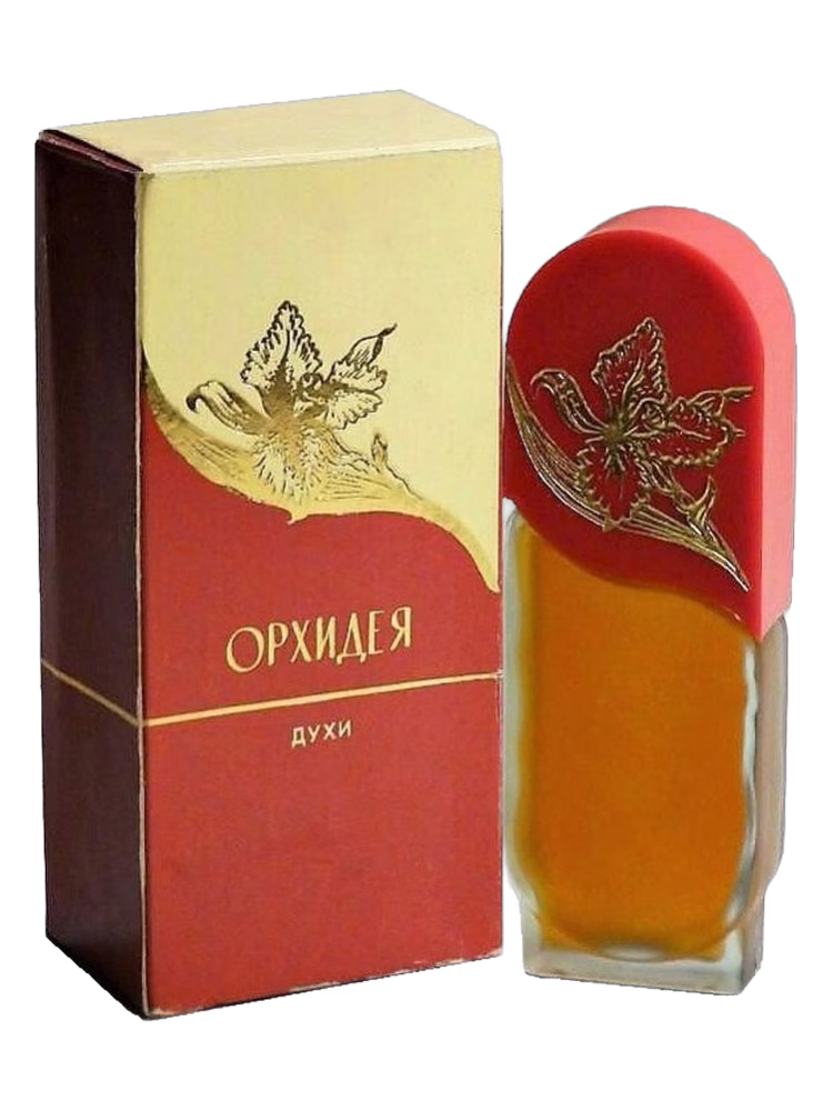 Алые Паруса (Alye Parusa) Орхидея - Orchid