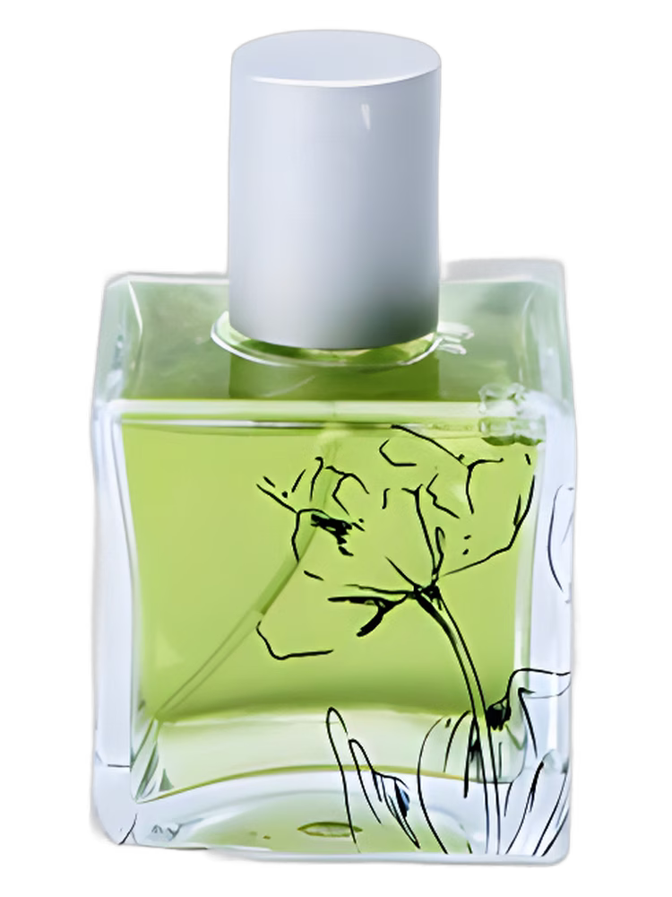 Infusion Organique Buddha’s Fig