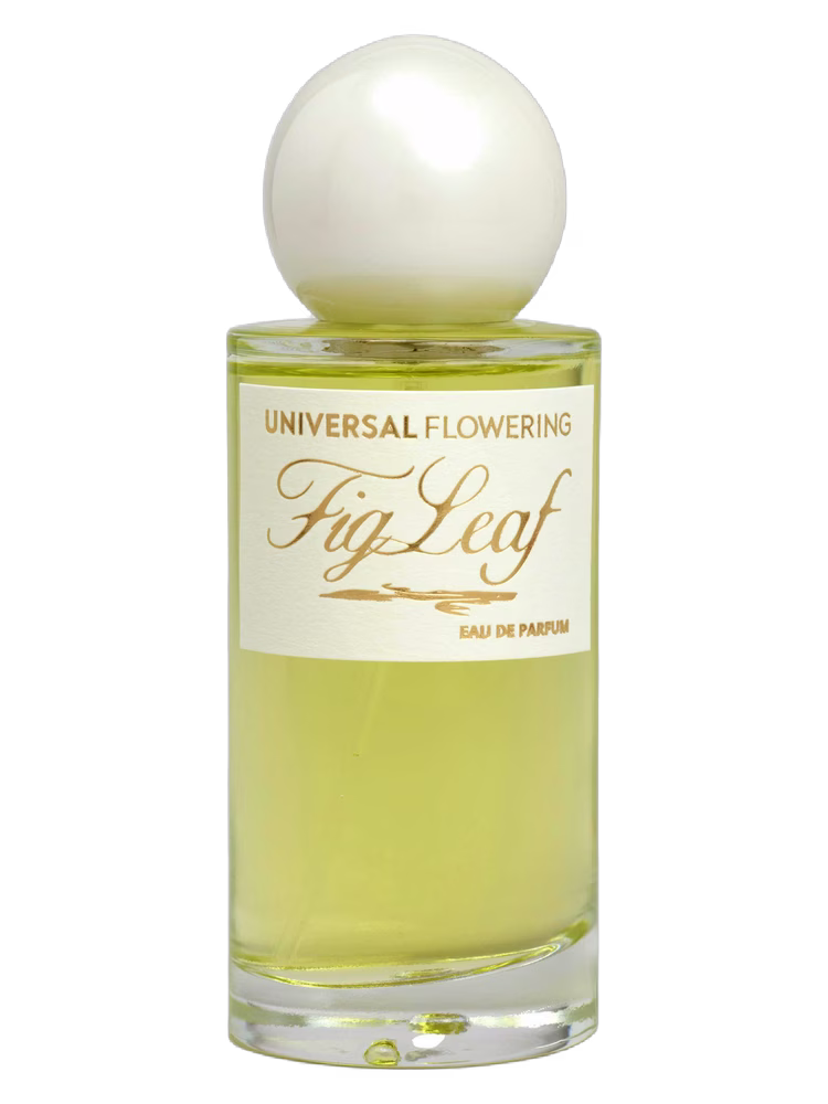 Universal Flowering Fig Leaf