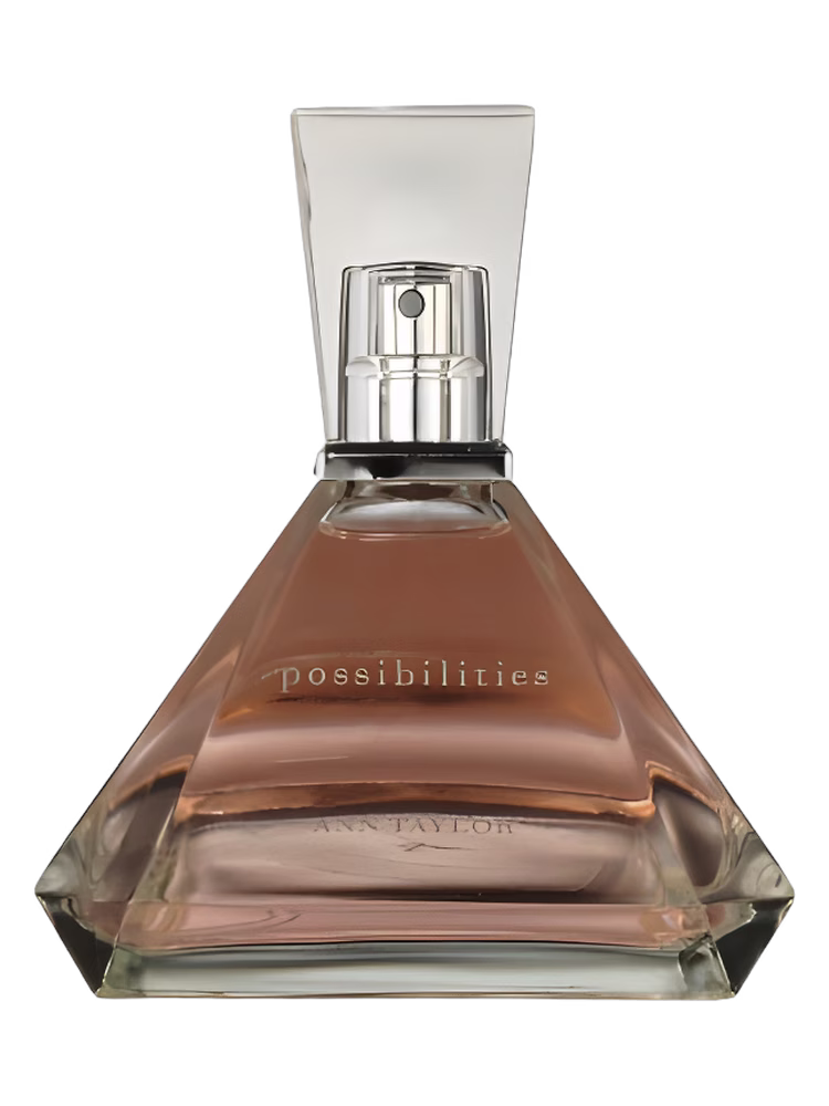 Ann Taylor Possibilities
