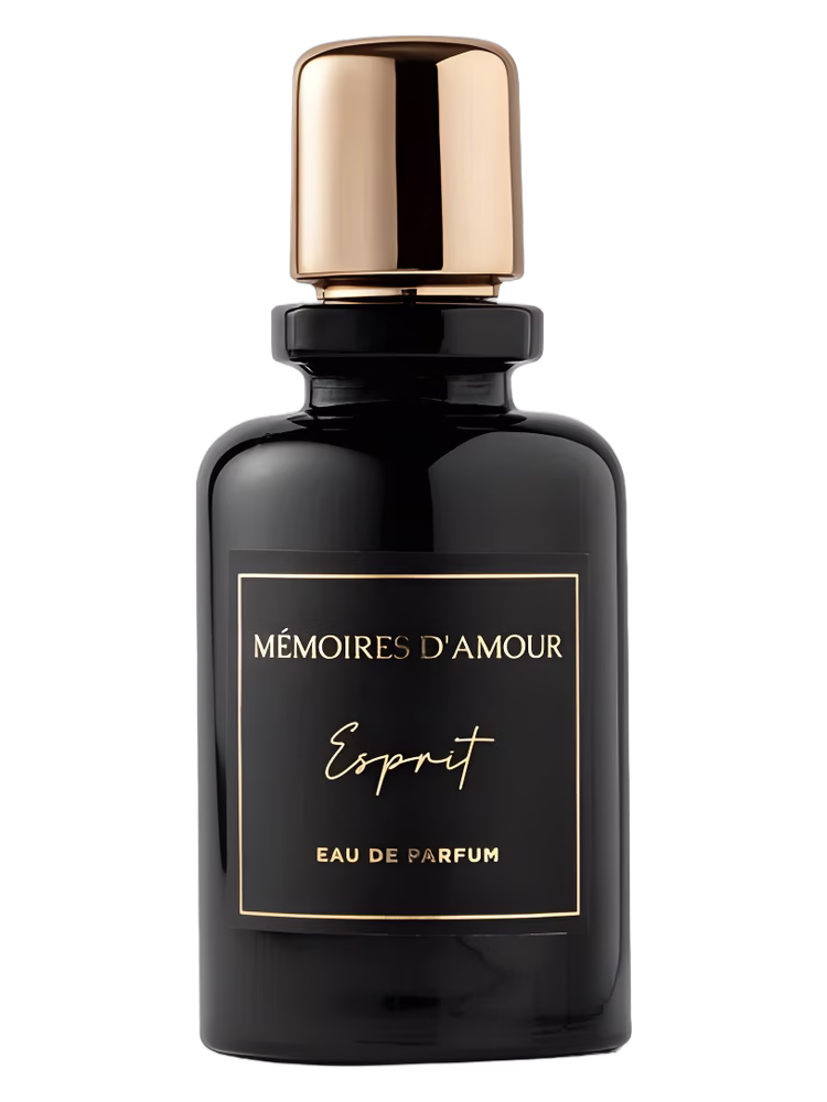 Mémoires D'amour Esprit