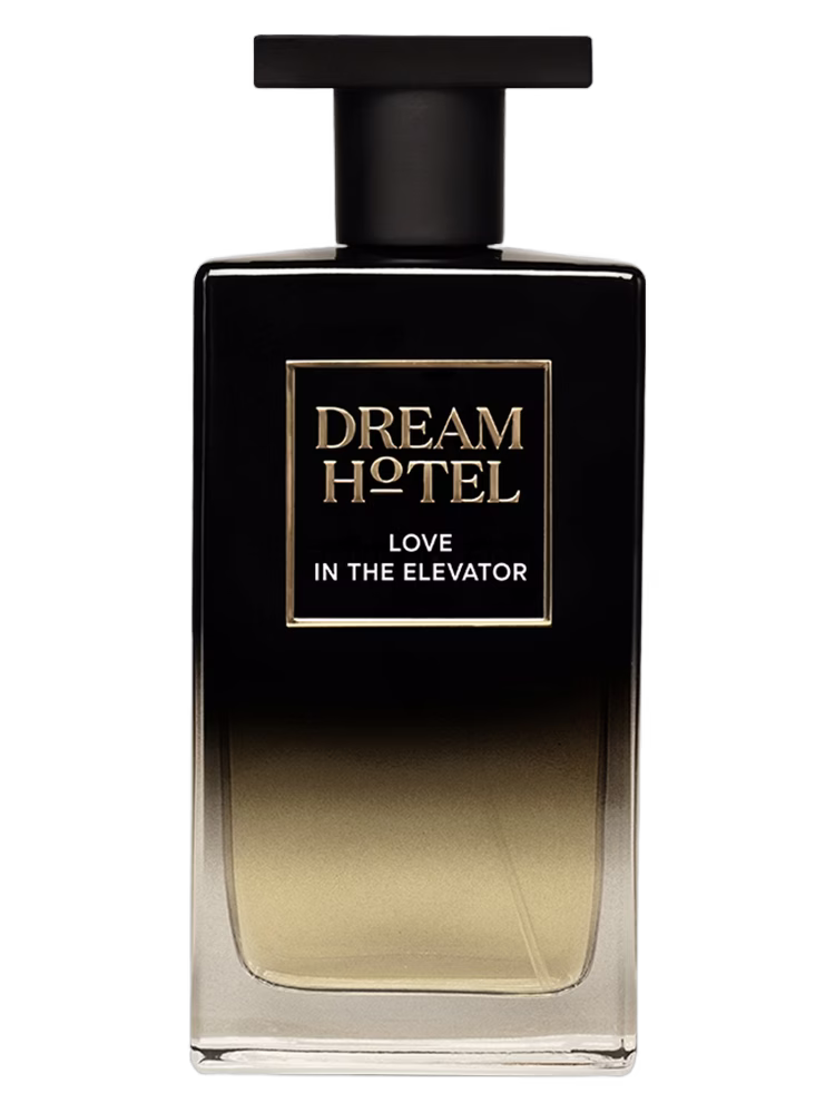 Dream Hotel Love In The Elevator