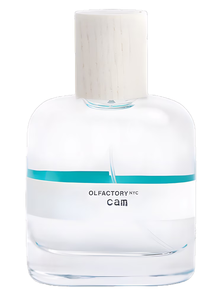 Olfactory NYC Cam